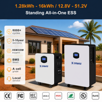 Sistem Penyimpanan Energi All-in-One Tipe Lantai 12.8V 25.6V 51.2V dengan Baterai LiFePO4 untuk Cadangan Daya Surya Rumah