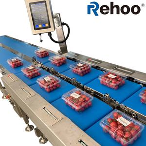 SUS304 8-kafa tartı hattı çok sataion kantar Blueberry - Product Image 6