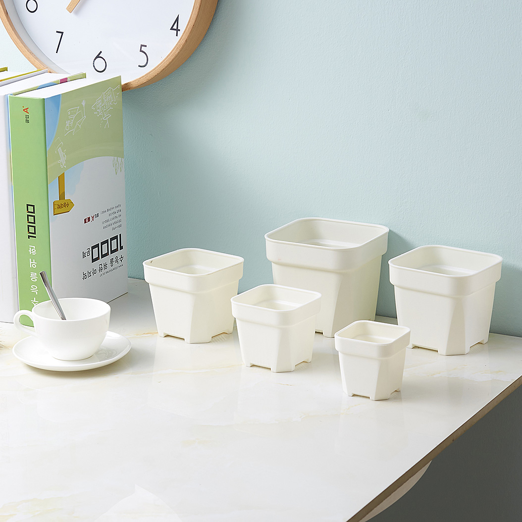 Pot intérieur blanc