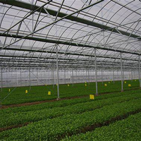 Film pour cadre de serre agricole en forme de grand dôme Hangar en plastique cerclé Tunnel à chenilles Ferme aux bleuets Maison verte Couleur bleue