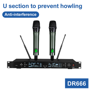 Depusheng D925 - Sistema de Audio Profesional de Lujo con Doble Caja Acústica de 15 Pulgadas y Alta Potencia para Bodas y Hogar - Product Image 2