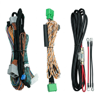 Auto-Navigations-Originalbildschirm-Upgrade Kabelbaum Kupferkern-Steckverbinder IP67 Wasserdicht 12V/24V Automotive-Kabelkonfektion