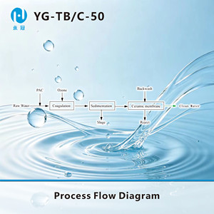 Système de traitement de l'eau à membrane céramique industrielle 50-350 l/h – Purificateur de filtration pour maison, école, village, usine - Product Image 6