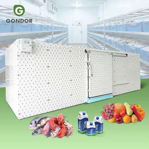 Cámara Frigorífica para Frutas y Verduras, Congelador de Almacenamiento Profundo para Carnicería y Pescado, China Ton 100 5 3 2 - Product Image 1