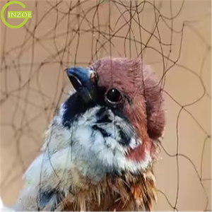Filets de capture d'oiseaux les plus vendus <span class=keywords><strong>pour</strong></span> les <span class=keywords><strong>moineaux</strong></span> et les cailles - Product Image 5