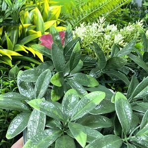 Planta suculenta de imitación, plantas artificiales de <span class=keywords><strong>tierra</strong></span>, de madera - Product Image 3