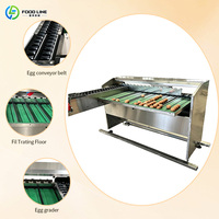 Máquina Clasificadora de Huevos de Acero Inoxidable de 5 Niveles, 220V, 1.1kW, 5400pcs/h, para Granjas Avícolas y Estaciones de Empaque de Huevos