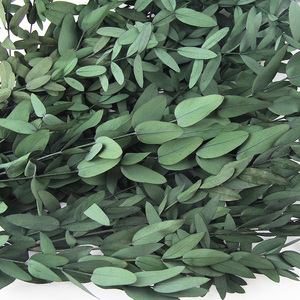 Vendita all'ingrosso all'ingrosso veri e conservati steli di eucalipto naturale verde pianta di eucalipto per la sistemazione di nozze decorazioni per la casa doccia - Product Image 5