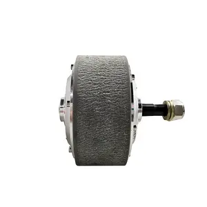 Neue elektrische rad mit servo motor 300W hub motor elektrische roller zwei räder