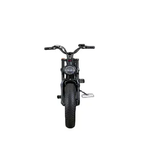 EB029 elバイク電動自転車eu bicicleta electricaタンデム長距離マウンテンロードバイクバッテリー付き変換キットを購入