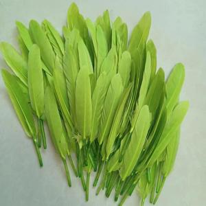 10-15cm <span class=keywords><strong>prix</strong></span> <span class=keywords><strong>d</strong></span>'usine en gros vente chaude plumes <span class=keywords><strong>d</strong></span>'<span class=keywords><strong>oie</strong></span> naturelles <span class=keywords><strong>d</strong></span>écoratives en vrac plumes de <span class=keywords><strong>duvet</strong></span> <span class=keywords><strong>d</strong></span>'<span class=keywords><strong>oie</strong></span> à vendre - Product Image 2