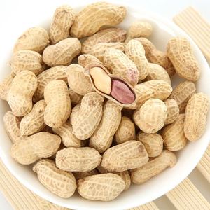 Factory price peanut in shell black peanuts bulk sale peanuts best price factory directly sale