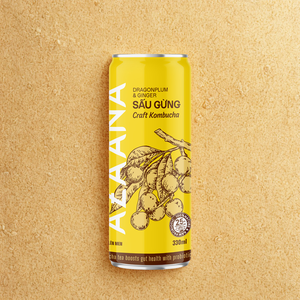 El estilo seco de concentrado de Kombucha con sabor a jengibre de fruta vietnamita ofrece una caja de bebida de jugo deliciosamente picante perfectamente equilibrada - Product Image 4