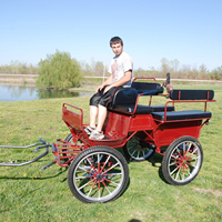 Populaire Mini Marathon Pony Cart Usine Vente Directe Calèche 4 Roues En Acier Transport Spécial