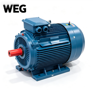 Moteurs WEG 415V 50Hz W20 W21 W22 55kW 75HP, moteur à induction à entraînement direct pour tour de refroidissement - Product Image 4