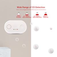 Detector de CO Zigbee de Alta Sensibilidad, Alarma de Monóxido de Carbono, Tuya Smart, Funciona con Batería de 2 Años, Sensor Inalámbrico de Seguridad para el Hogar de ABS