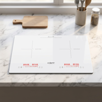 Table de cuisson à induction double foyer encastrable avec commande tactile coulissante 3500W, plaque vitrocéramique micro-cristalline pour usage commercial et domestique