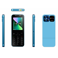 Teléfono Móvil X10-F con Pantalla de 2.4 Pulgadas, OEM SKD, 4 Tarjetas SIM, Multicolor, Teléfono GSM con Cámara, Video y Radio FM