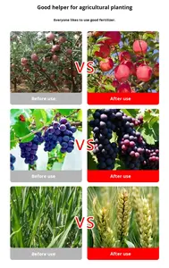 Fertilizante orgánico de proteína de pescado Enraizamiento y resistencia al estrés - Product Image 3