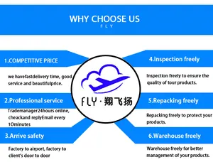 Deur Tot Deur Klm Carga Aerea Luchtvervoer Vracht Agent Cargo Internationale China Shanghai Naar Europa Usa