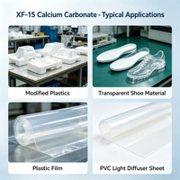 Carbonate de Calcium Blanc de Porcelaine 1250 Mesh 98% de Blancheur, Remplissage Haute Pureté pour Film Transparent de Chaussures et Diffuseur de Lumière (XF-15)