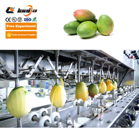 Multi Functionele Groene Mango Peeling Machine Automatische Mango Peeling Snijmachine Mango Dunschiller Snijmachine Snijmachine Met Ce