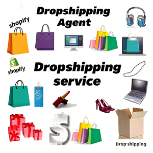 ड्रॉपशीपिंग एजेंट तेजी से शिपिंग मल्टीमॉडल परिवहन दुनिया भर में पेशेवर ड्रॉपशीपिंग सेवा - Product Image 2