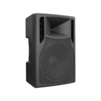 DASN DNS15DQ Enceinte PA active compacte en plastique pleine fréquence 15 pouces 700W RMS DSP Audio pour extérieur, scène DJ et home cinéma