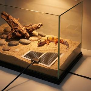 Calentador Ecológico Ajustable para Debajo del Tanque, para Tanques de 1-5 Galones, Terrario, Reptiles, 100-240V - Product Image 1