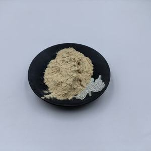 Poudre d'enzyme alpha-amylase à succès commercial, alpha-amylase 100 000 U/g, amylase à température moyenne - Product Image 2