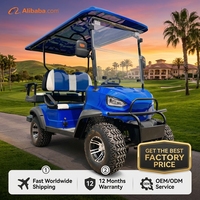 Voiturette de golf à essence Tarion haute performance 300 cm³ refroidie par eau, 4 temps, 4 places, rehaussée, capacité de montée de 25 %, 45 km/h, buggy utilitaire