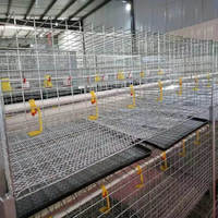 Nouvelle cage à poulets galvanisée de type H pour petits poussins et poulets de chair avec système d'abreuvement automatique