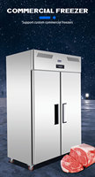 Réfrigérateur-congélateur commercial vertical à double porte en acier inoxydable CE