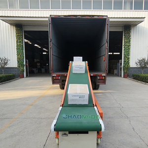 Özelleştirilmiş Kapasiteli Paketleme Üretim Hattı için Otomatik Yükleme ve Boşaltma Konveyör Sistemi - Product Image 4