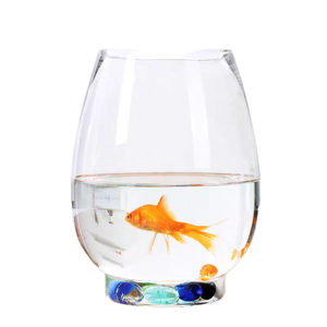 Pianta idroponica ecologica bottiglia di vetro vaso decorazione micro paesaggio drago uovo acquario ufficio soggiorno ornamenti - Product Image 6