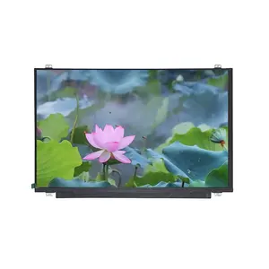 Schlussverkauf 15,6 Zoll 1920*1080 RGB eDP 2,7 Gbps 9 Serial 4 Parallel LED-Display Paneel Farbe TFT-LCD-Modul