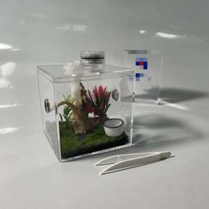 Wholesale Transparent Lucite Acrylic Jumping Spider Enclosure Light for Insect Breeding Observation - Product Image 4