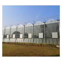 Serre agricole/commerciale pour la plantation de fraises/tomates/cerises/concombres/laitues avec système hydroponique