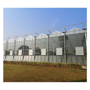 Serre agricole/commerciale pour la plantation de fraises/tomates/cerises/concombres/laitues avec système hydroponique - Product Image 3