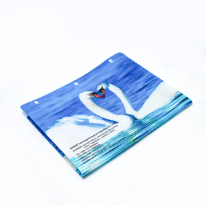 Màu xanh màu thiên nga có thể gập lại phẳng đóng gói mở rộng thư mục tập tin nhựa in nhựa thư mục tập tin cho tập tin tổ chức - Product Image 3