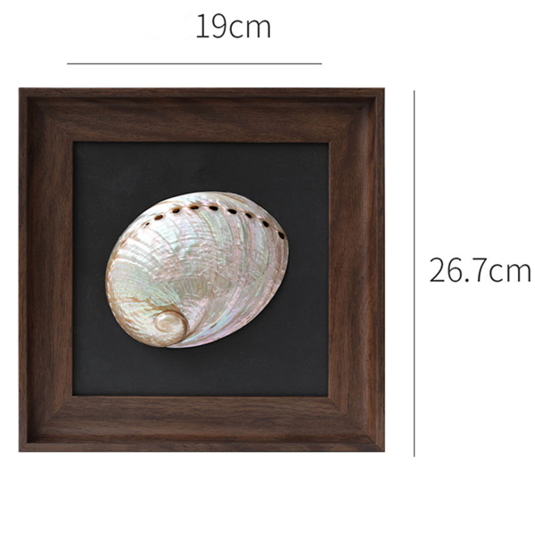 Colorful abalone shell
