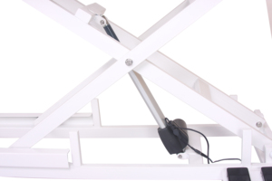 Table <span class=keywords><strong>de</strong></span> toilettage électrique FT-808 Aeolus Low-Low pour <span class=keywords><strong>chien</strong></span>, fourniture d'usine en chine 2023 - Product Image 6