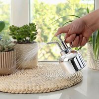 Arrosoir en acier inoxydable 304 argenté, mini pulvérisateur métallique pour plantes succulentes et vertes