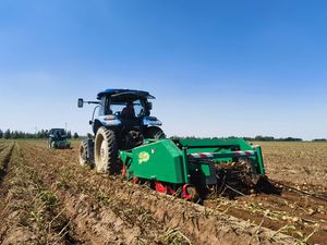 Mesin pemanen kentang penggali pemanen kentang manis pertanian - Product Image 6