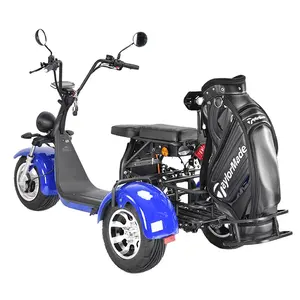 Electric scooter 3 wheel golf club course Fat Tire Safe Sport Type Trike Citycoco Model Golf Tricycle