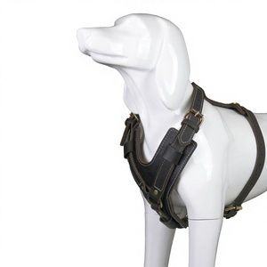 Harnais de poitrion pour <span class=keywords><strong>chien</strong></span> en cuir de vachette robuste, fait main, avec ferrures électroplaquées en fer, pour chiens de taille moyenne et grande - Product Image 1