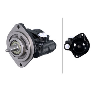 Pièces de moteur 4831152 Pompe de direction assistée pour IvecoTruck - Product Image 1
