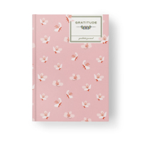 Carnet de Gratitude Personnalisé 2026 – Journal Quotidien Non Daté pour l'Autosoins, les Affirmations et la Réflexion – Planificateur de Bien-être Guidé – 100 Feuilles – Idéal Cadeau