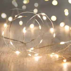 1M 2M 4M 5M 10M 100 LEDS Starry String battery Lights Fairy LED Transparent Copper Wire for Party Christmas Wedding 5 colors