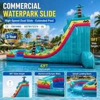 Toboggan aquatique gonflable commercial extérieur à une voie, long, avec piscine à jets, thème palmier tropical, coloris turquoise, jaune et rose